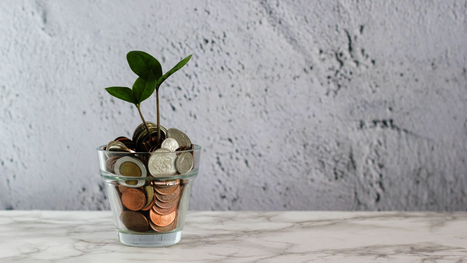 How Do Job Boards Make Money? Your Complete Guide in 2024 JBoard